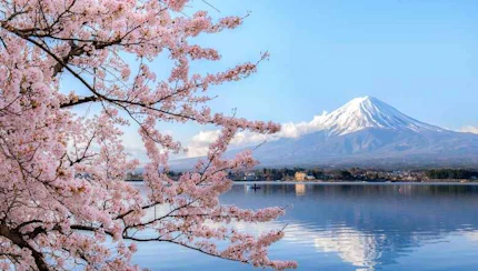 Blog Hanami